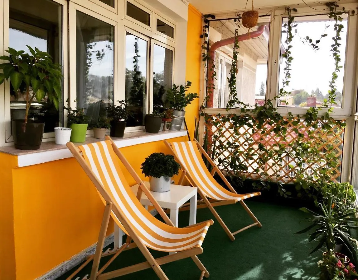 Vine 21 Co-Living Hotel Bucharest 0*,